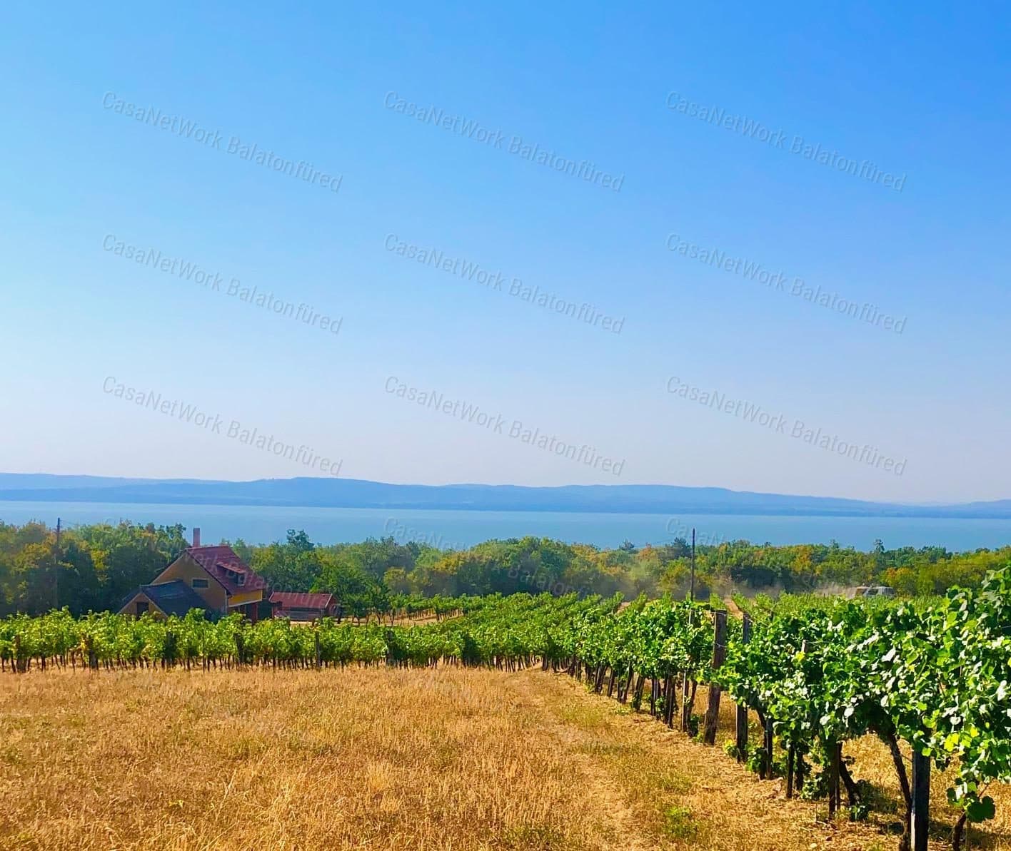 Buildable vineyard plot with Balaton views in Balatonakali