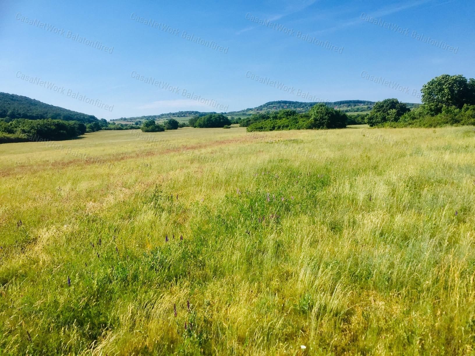 Agricultural Land for Sale in Dörgicsén - Nature's Serene Beauty