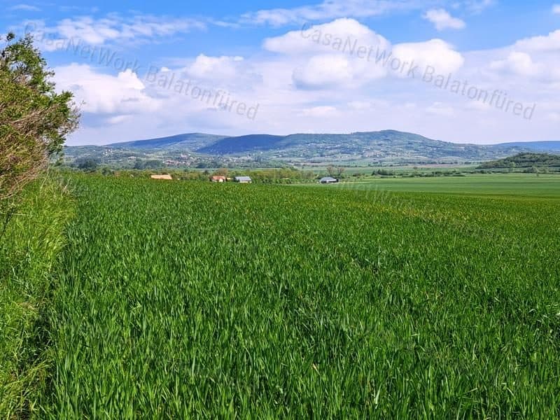 Landwirtschaftliche Fläche in ausgezeichneter Lage bei Mindszentkálla