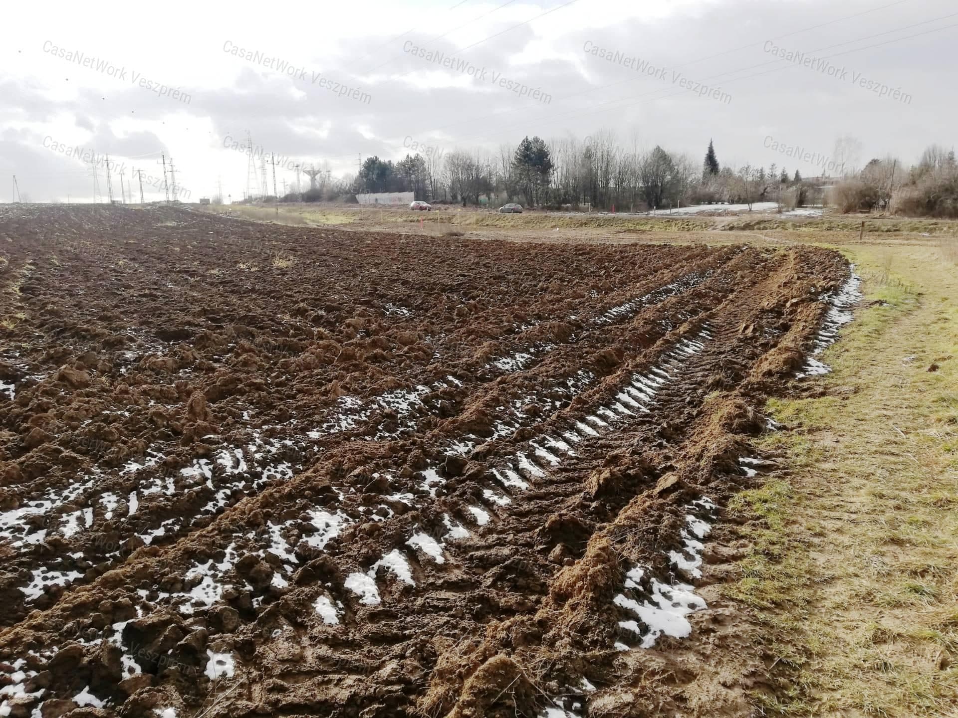 Belterületi szántó eladó, Veszprémben