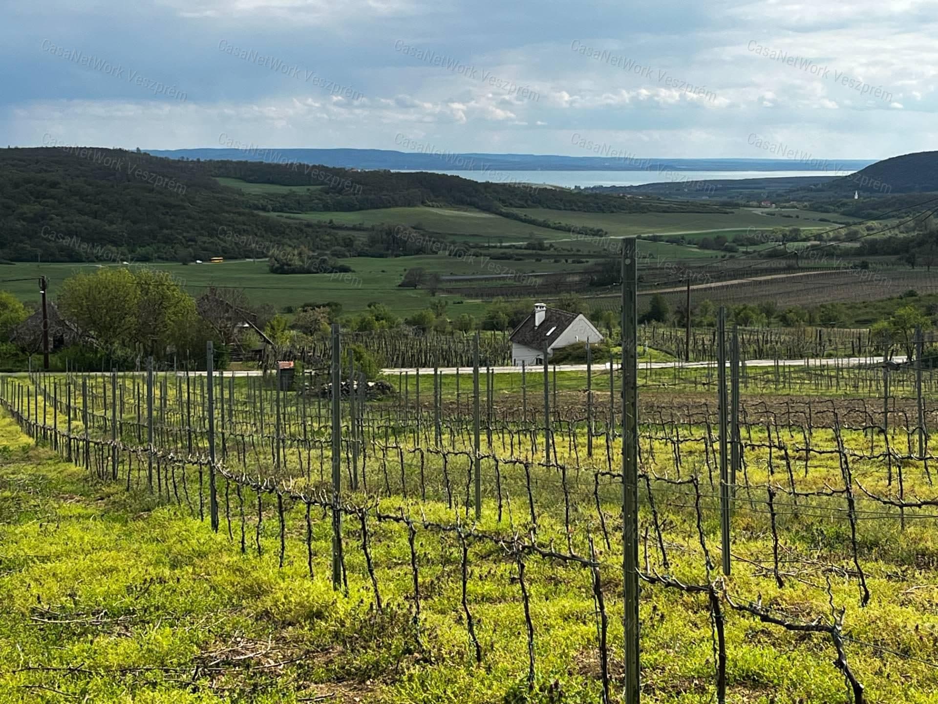Óbudaváron ÖRÖK PANORÁMÁS zártkert eladó! 5107nm!