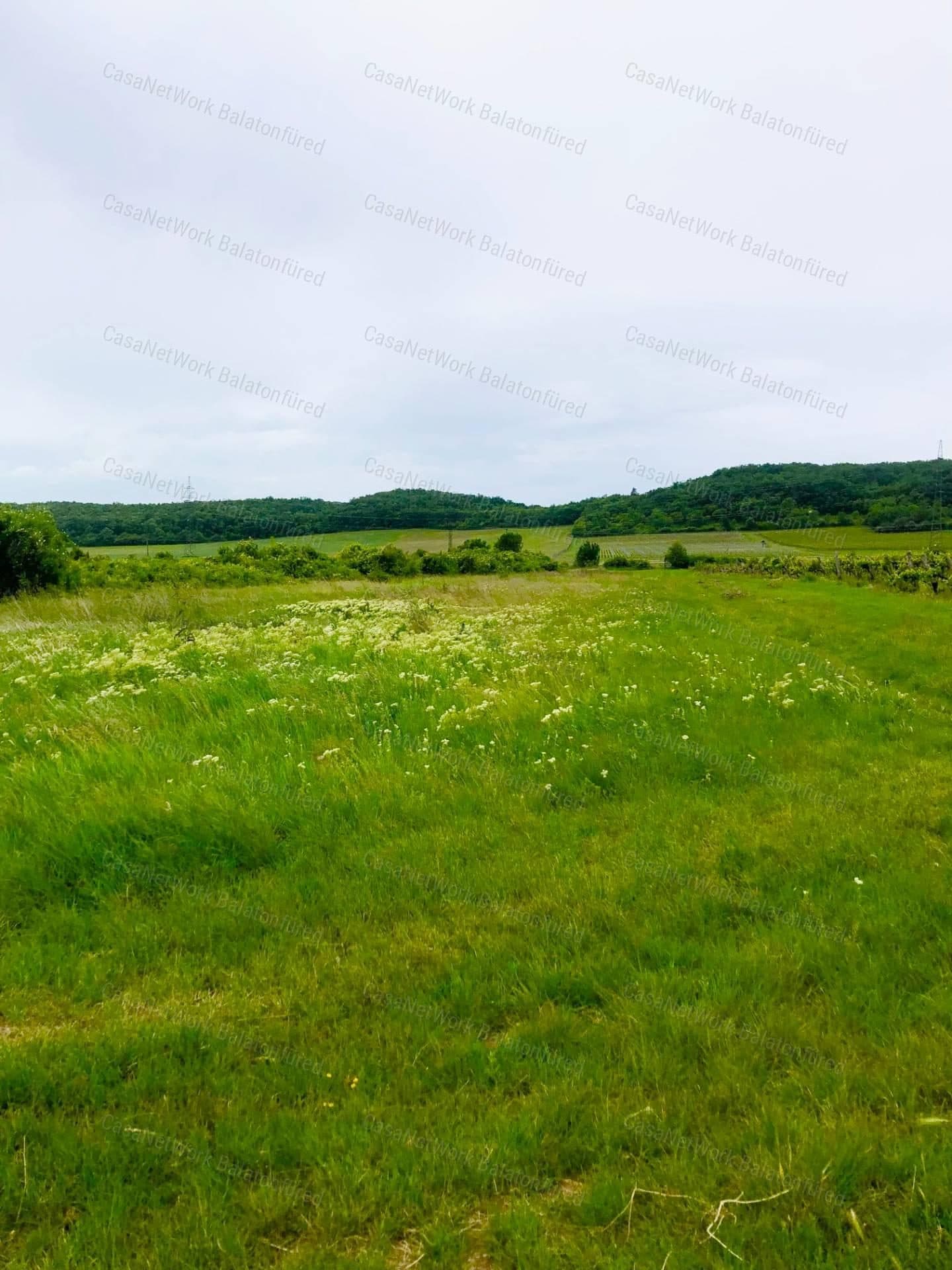 Mezőgazdasági terület ELADÓ Balatonszőlősön