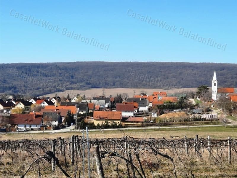 PANORAMIC AREA - VINEYARD LAND FOR SALE IN SZENTANTALFA