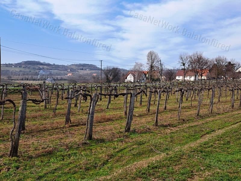 Panoramic vineyard in the heart of Nivegy Valley, Szentjakabfán