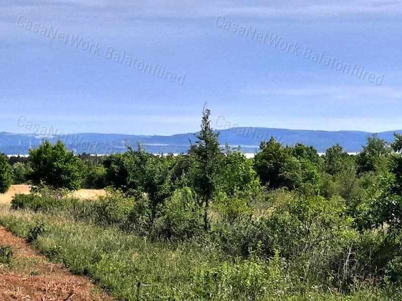 Close to town - forest area for sale in Balatonudvari