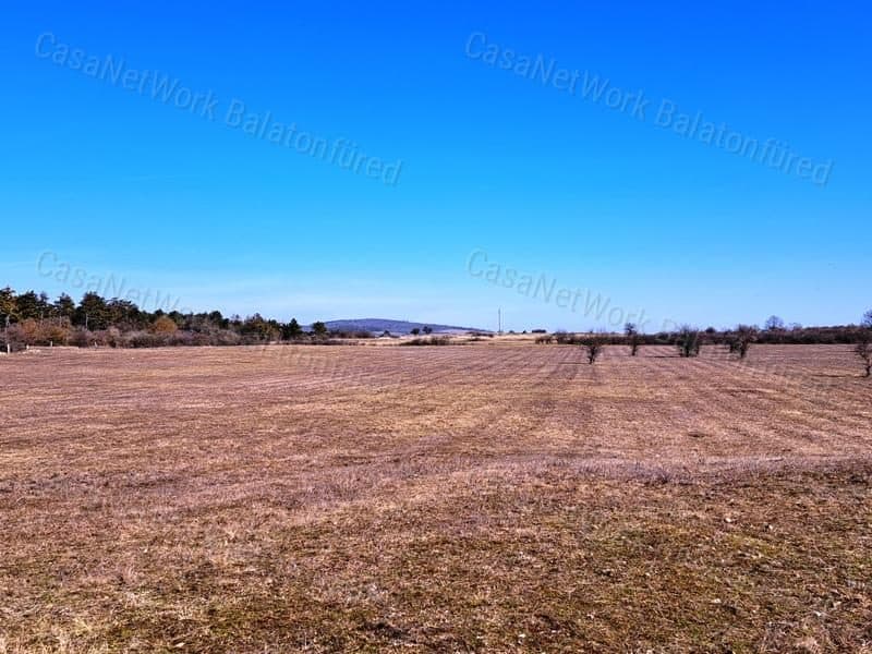 Agricultural land suitable for farming and livestock at Barnag