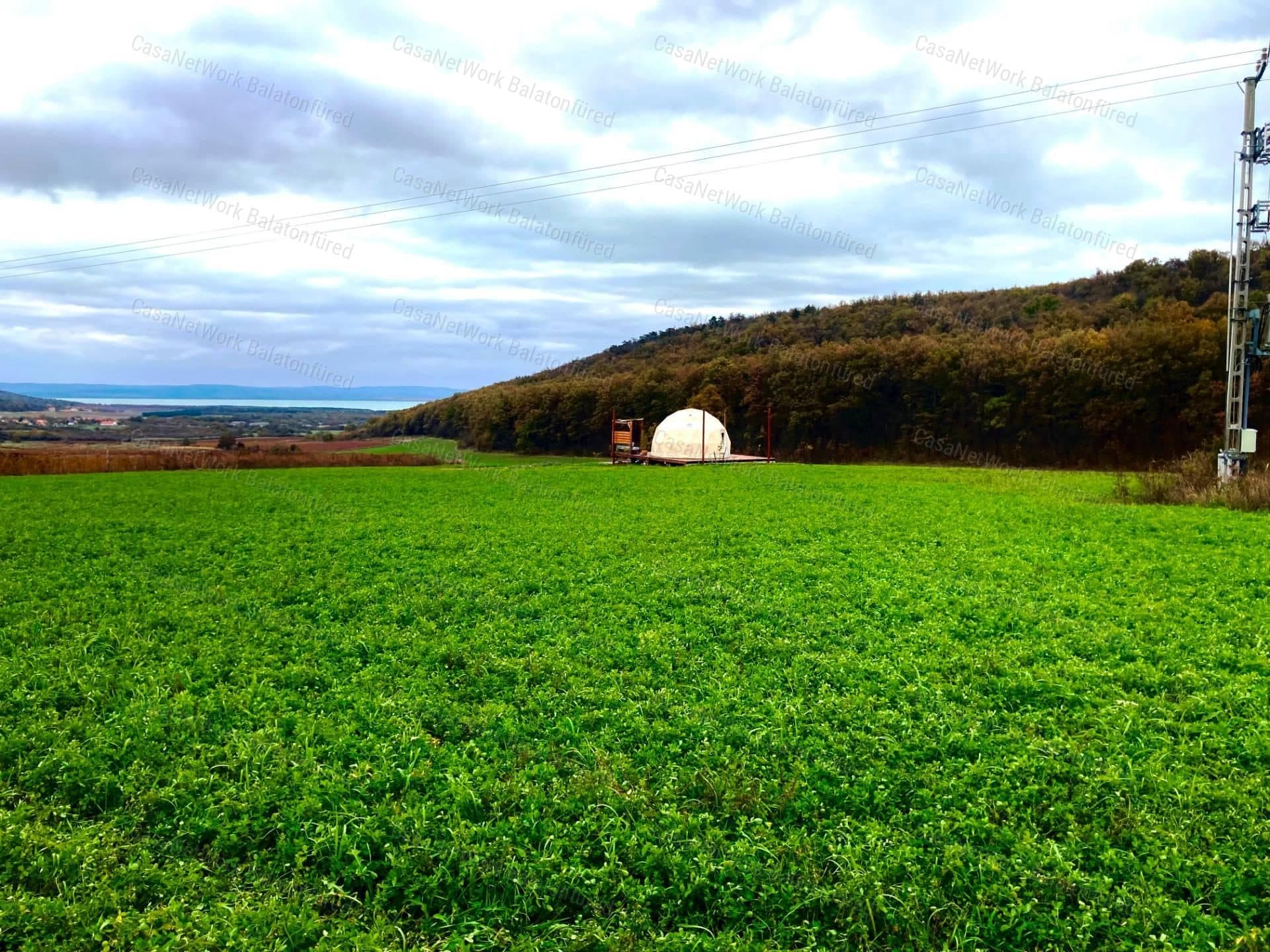 Panoramafläche in Dörgicse mit Balaton-Blick
