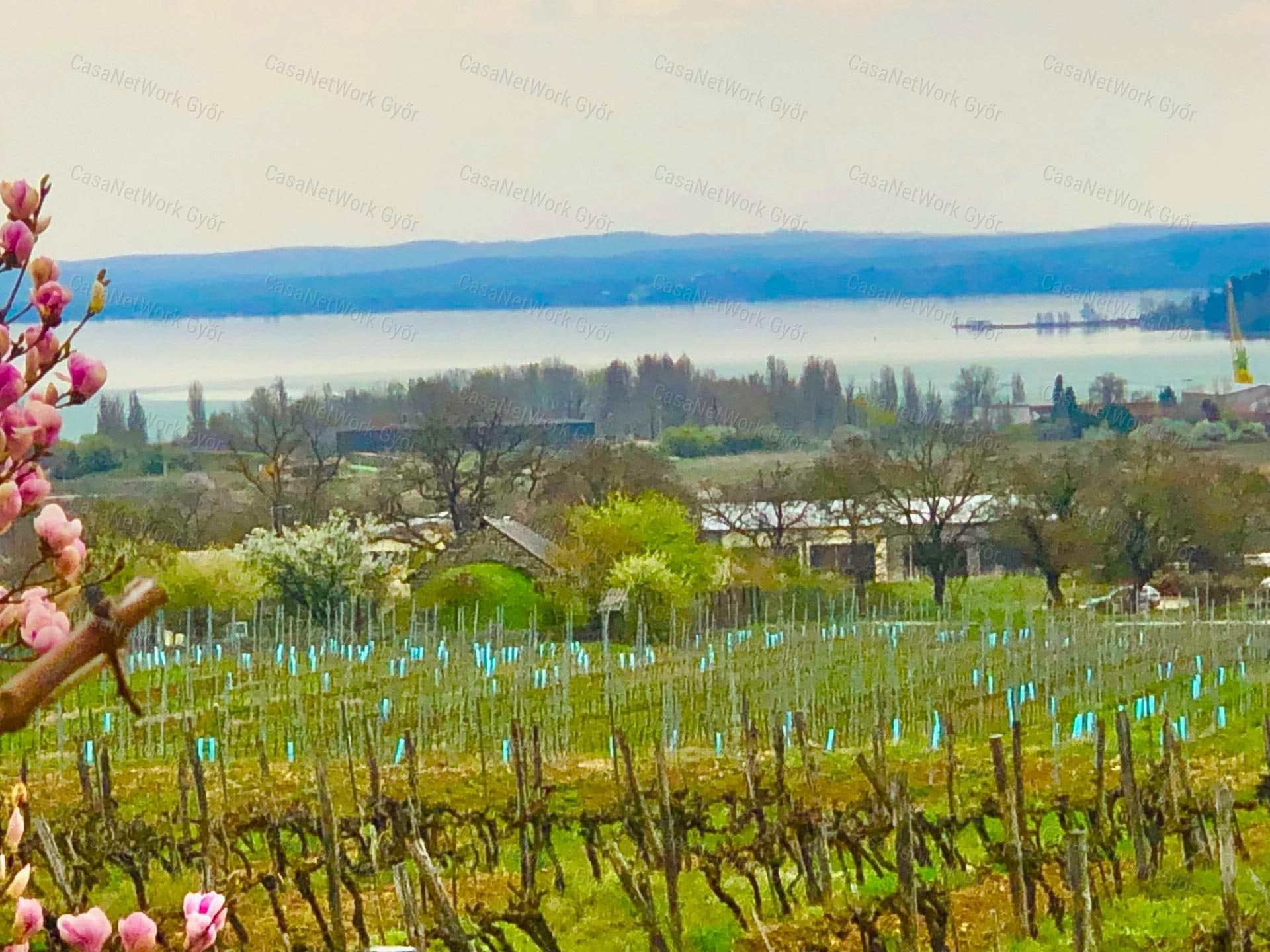Exclusive Estate above Lake Balaton - Vineyard with Eternal Panorama
