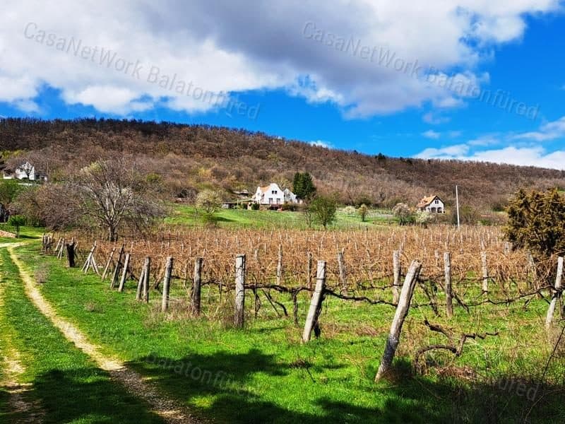 Település melletti, panorámás-eladó SZŐLŐ terület BALATONRENDESEN