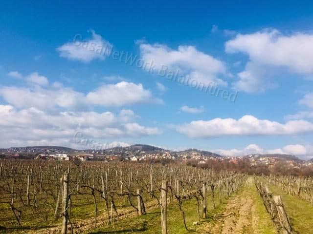 Building plot with vineyard, Balatonfüred