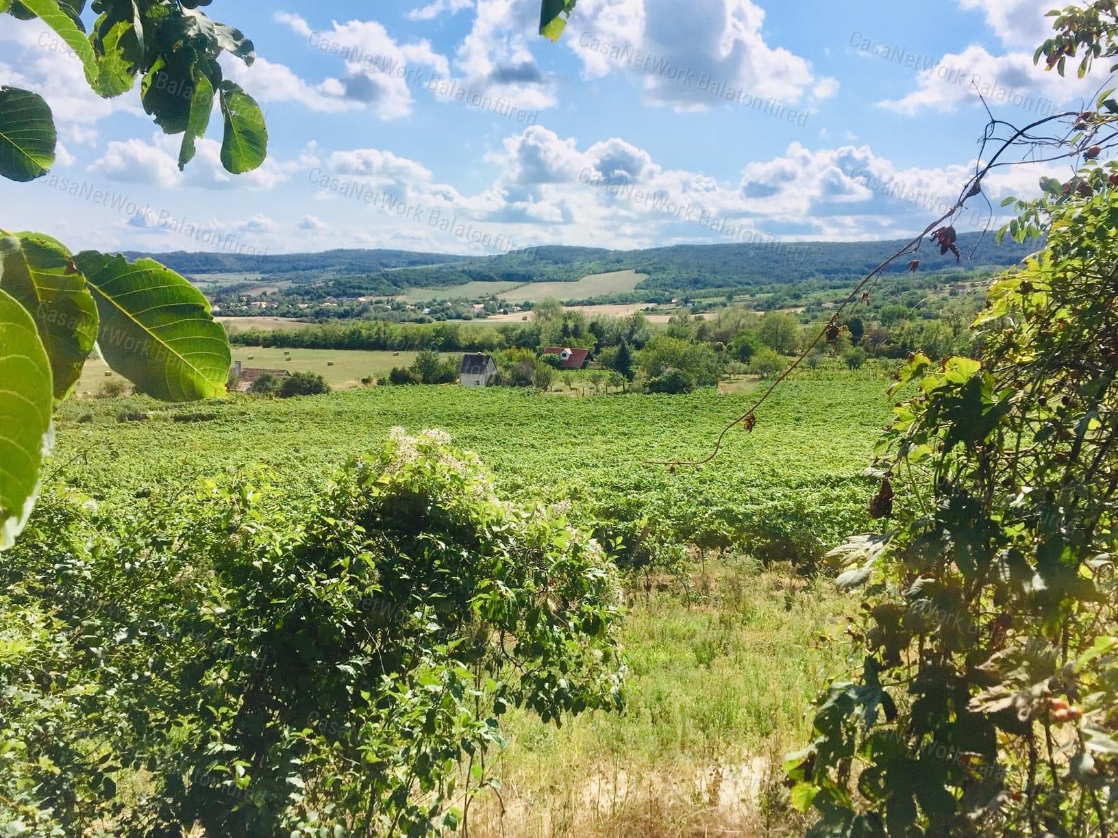 Buildable vineyard with partial views in Pécselyi