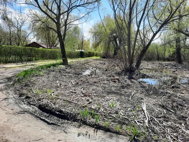 Attention Anglers: Waterfront Plot for Sale in Balatonakali