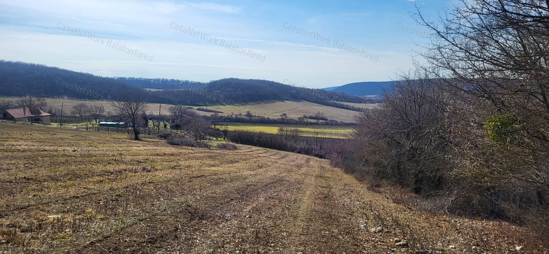 Buildable vineyard plot with panoramic views near Balaton, Balatoncsicsó