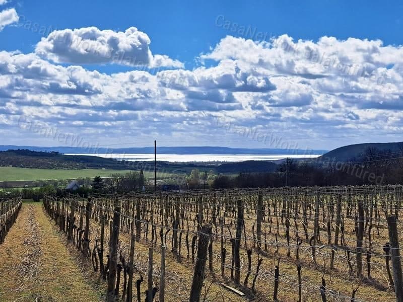 Bauland mit Panoramablick auf den Balaton in Szentjakabfa