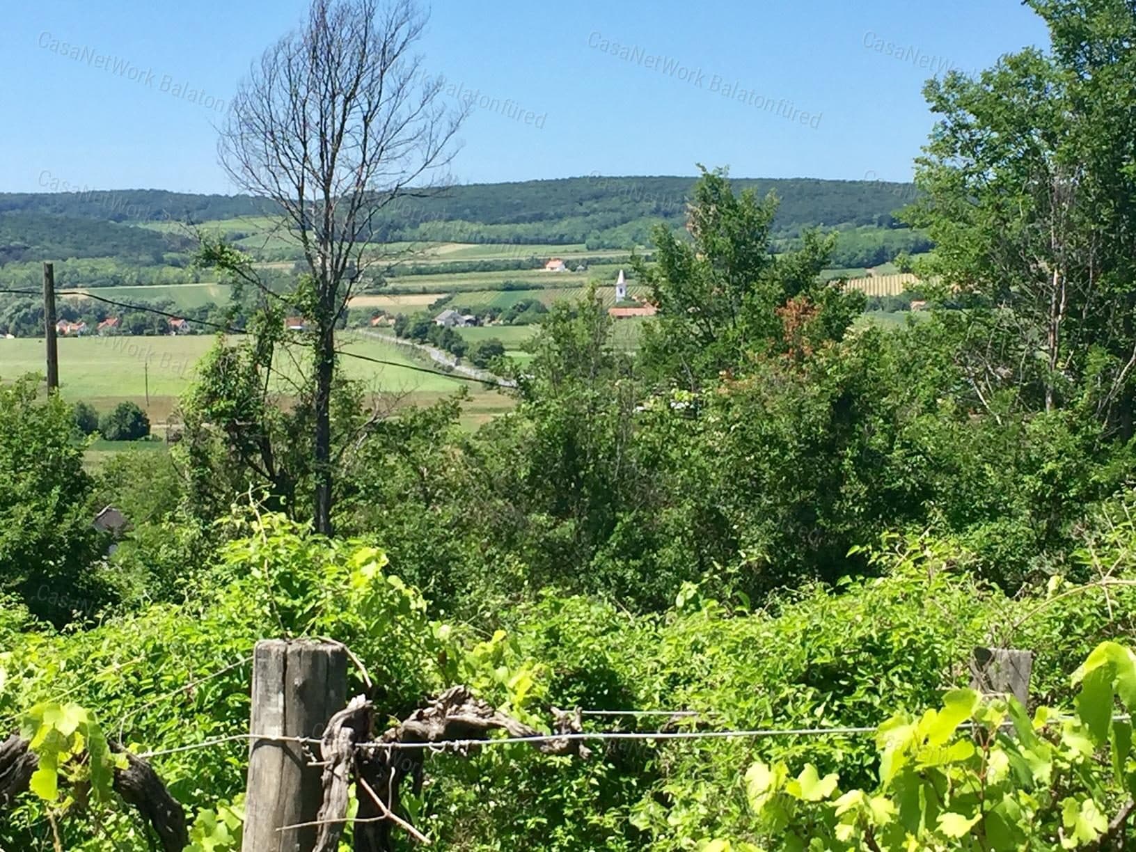 Nivegy Valley - Vineyard, Meadow and Wine Cellar on Hillside in Balatoncsicsó