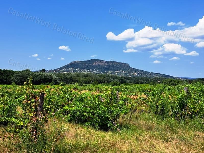 Weinbergfläche in guter Lage in Nemesgulács