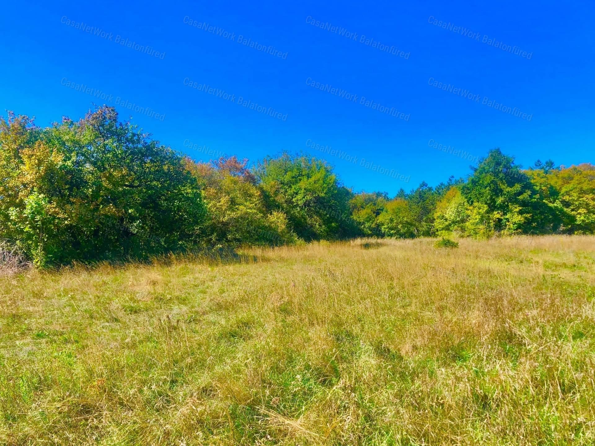 Agricultural land in unspoilt countryside near Vászolyb