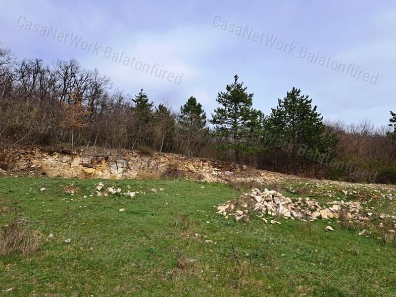 Industrial land next to a public road in Vászoly