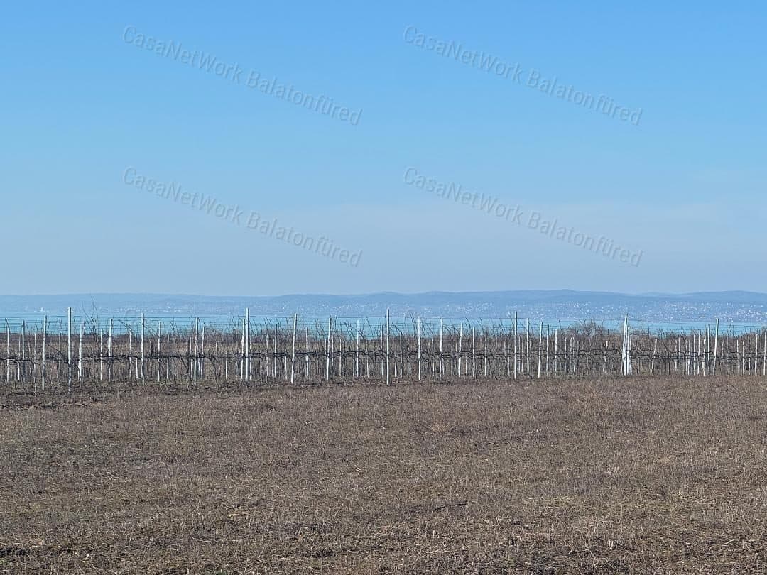 Weingut mit Balaton-Panorama in Balatonvilágos – 3000 m² Bebauung