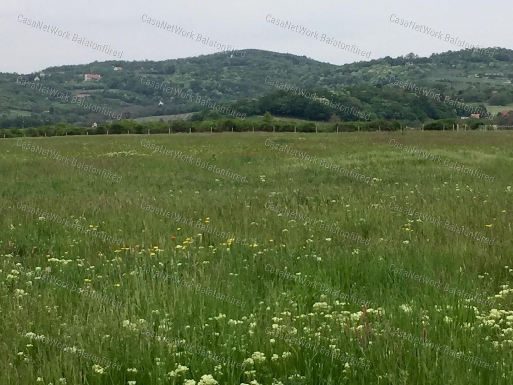 Agricultural Land at Village Edge