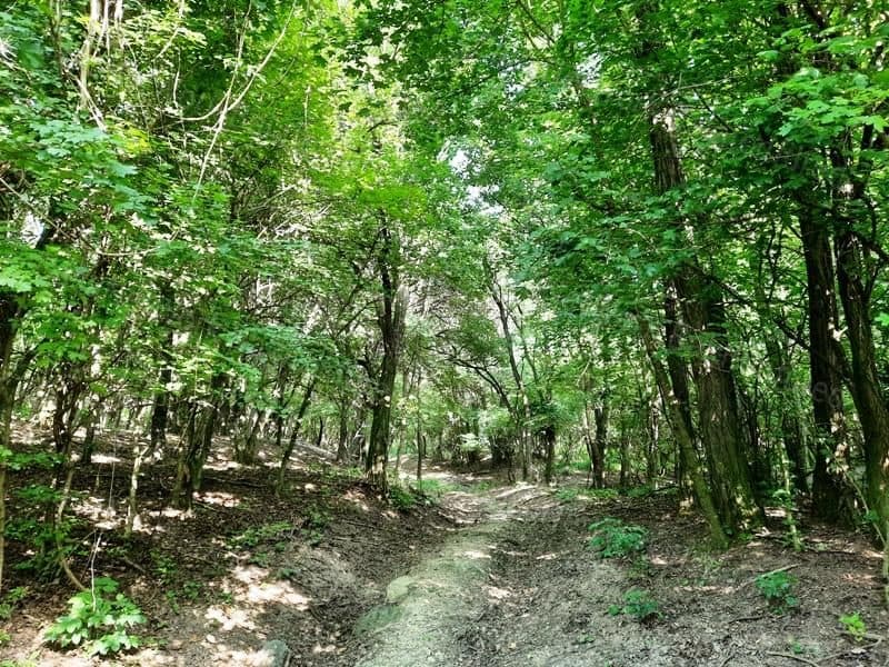 AGRICULTURAL LAND FOR SALE NEAR THE SETTLEMENT IN KAPOLCS