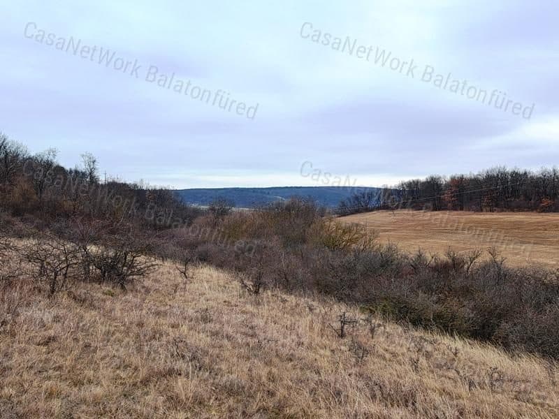 Agricultural land next to main road in Balatonalmádi