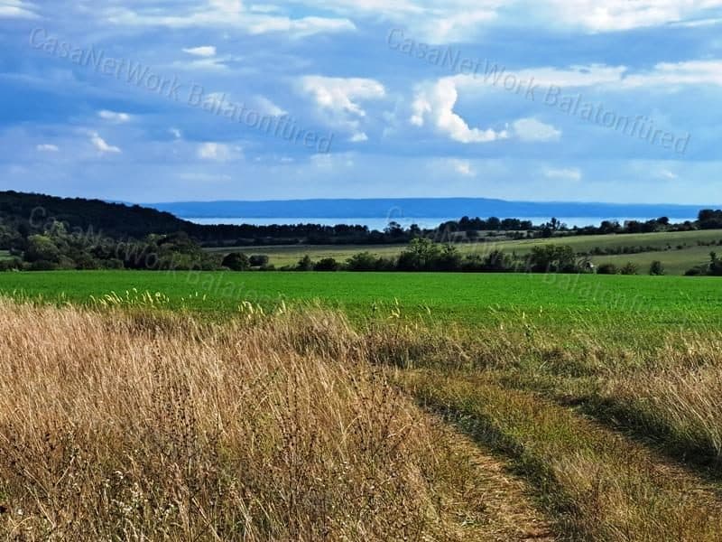 Tájpanorámás terület - eladó MEZŐGAZDASÁGI TERÜLET DÖRGICSÉN