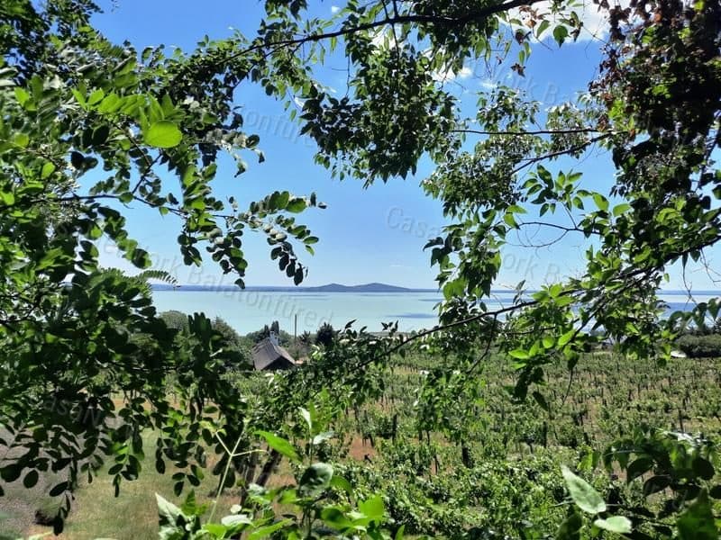 Panoramic Orchard for Sale in BADACSONYTOMAJ