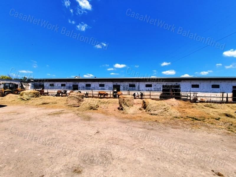 EXCELLENT OPPORTUNITY - CATTLE FARM FOR SALE IN SZENTJAKABFA