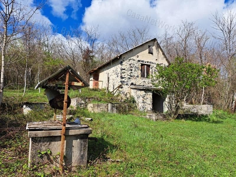 Surrounded by Forest - Commercial Buildings for Sale in Mindszentkálla