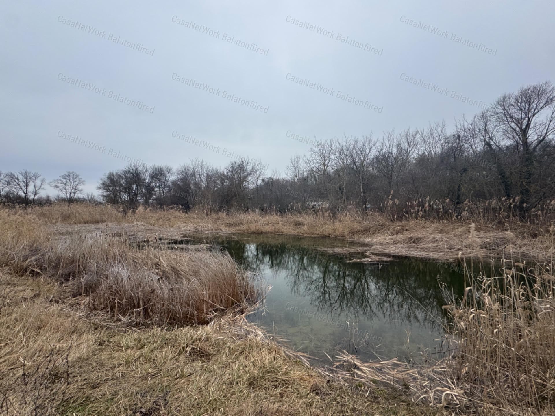 4 hectares with potential to create your own lake near Balatonfüred