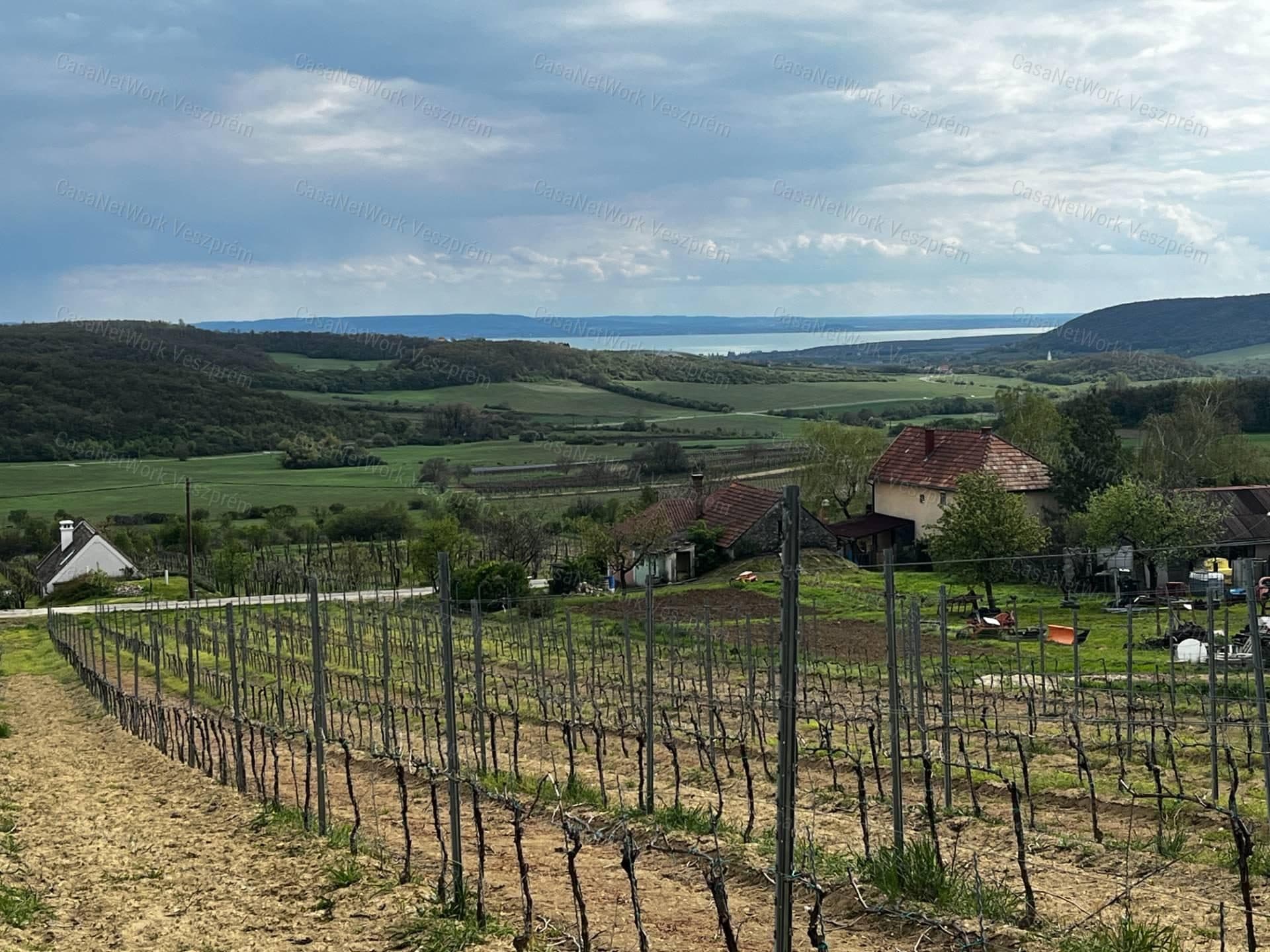 Eladó ÖRÖK PANORÁMÁS zártkert Óbudaváron! 3989nm!