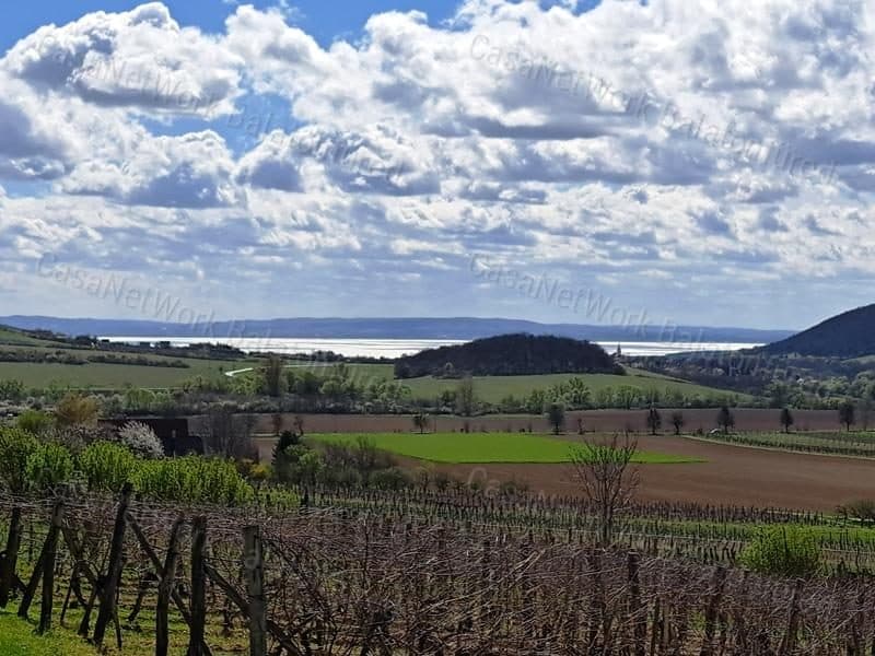 Weinbauland mit Ausblick in Szentjakabfa