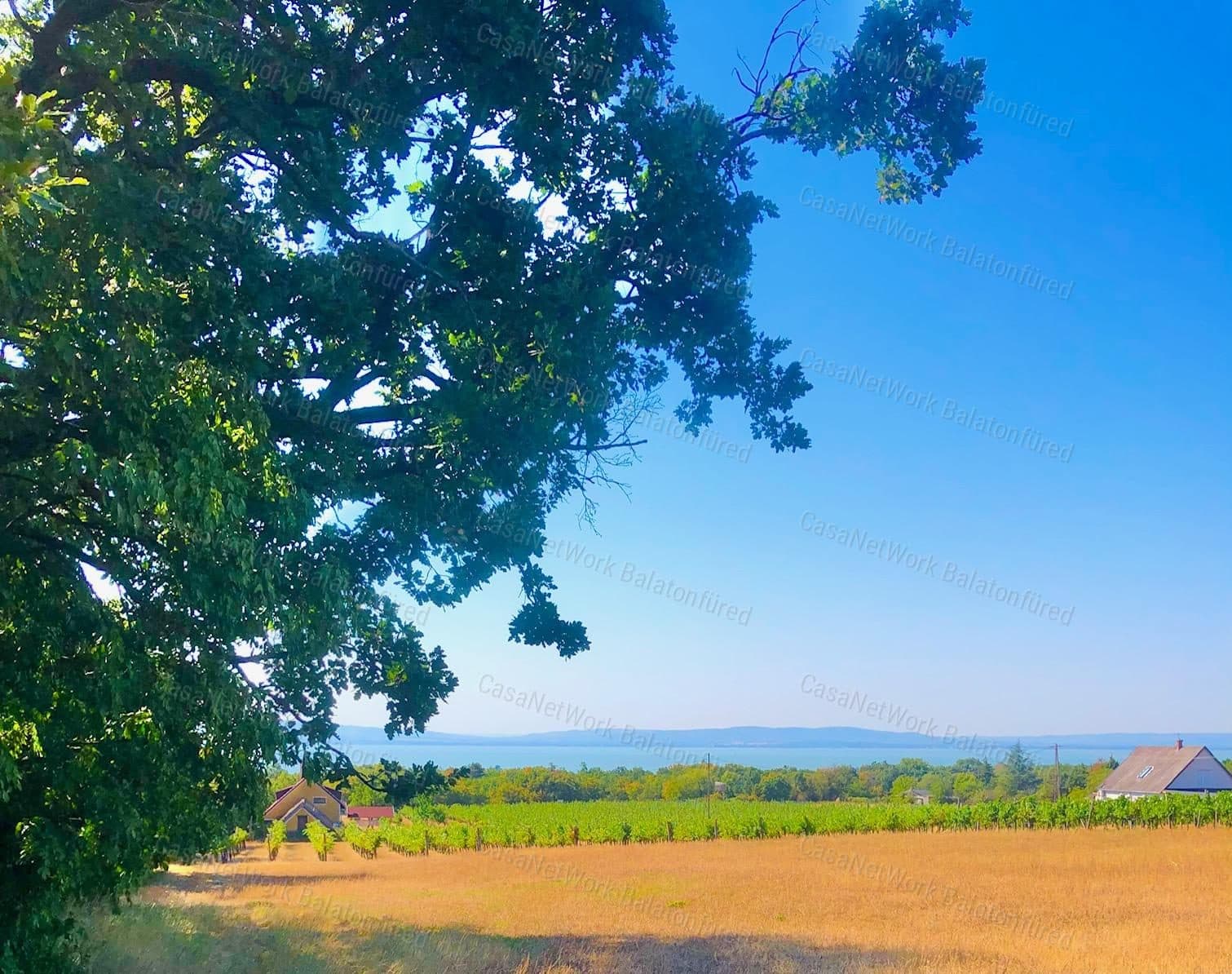 Buildable vineyard plot with panoramic Balaton views near Balatonakali