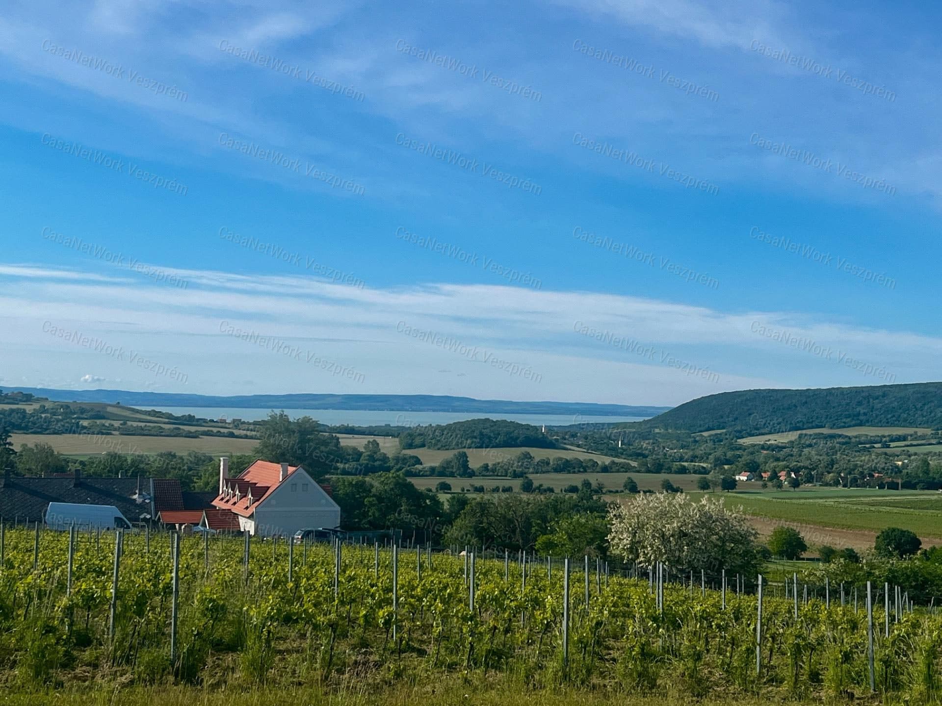 Eladó telek Szentjakabfán