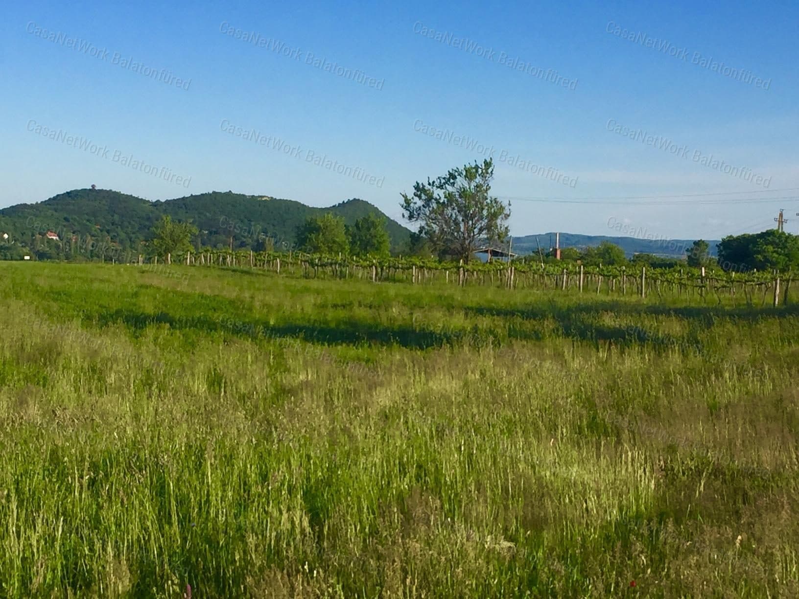 Panoramic Plot in Aszófő