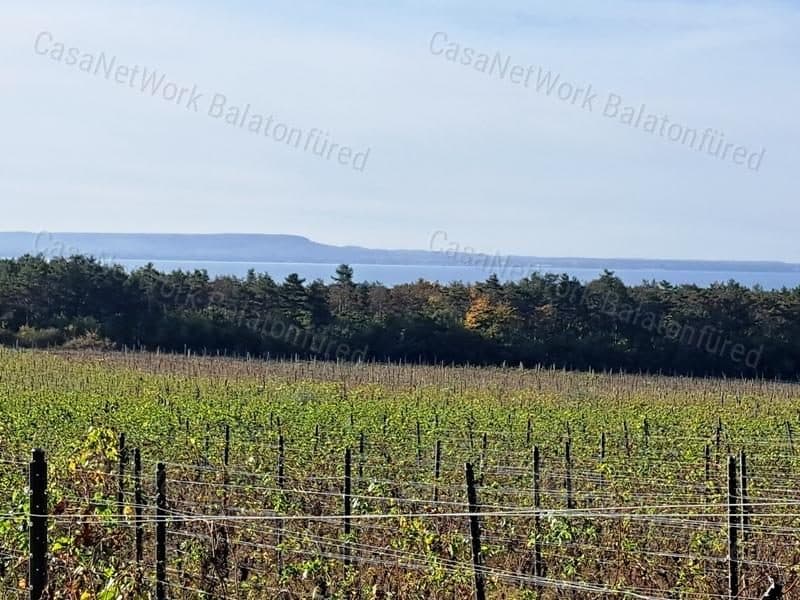 Buildable agricultural land near Balatonakali
