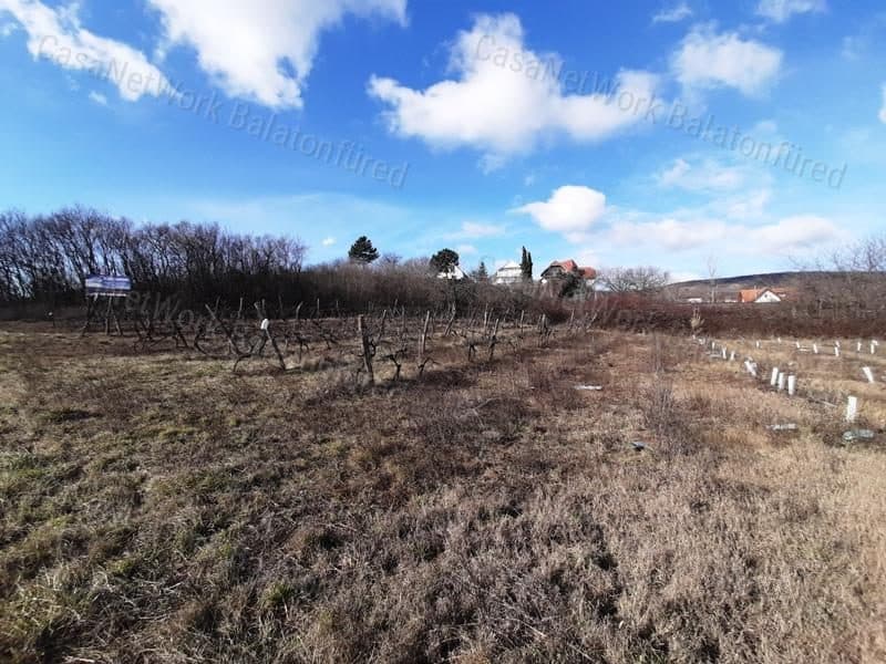 PANORÁMÁS SZŐLŐ terület eladó CSOPAKON