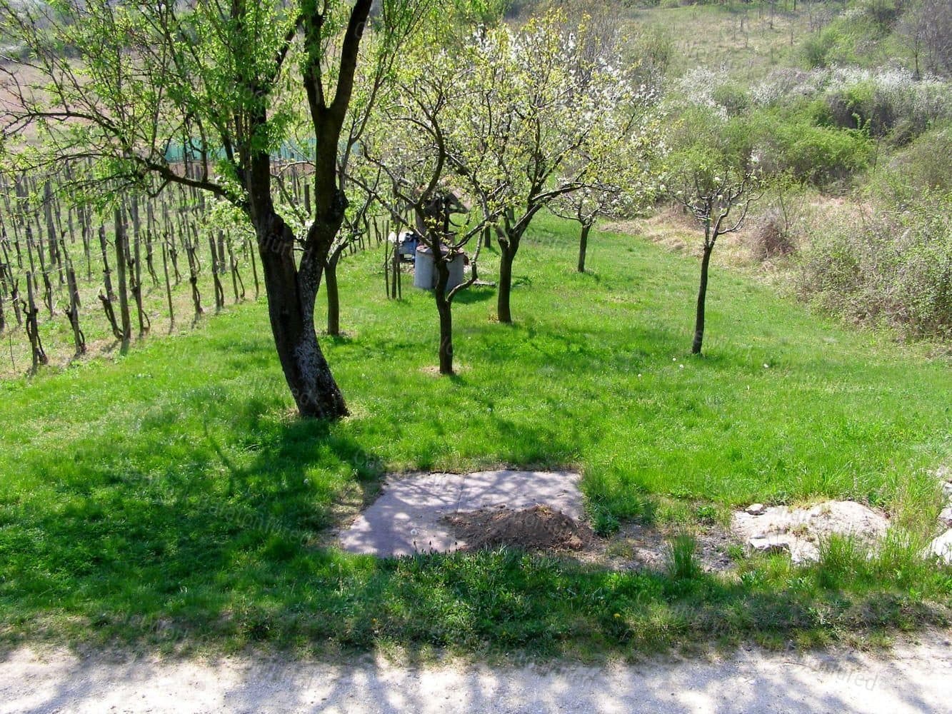 Agricultural land with garden in Pécsely, Balaton-felvidék