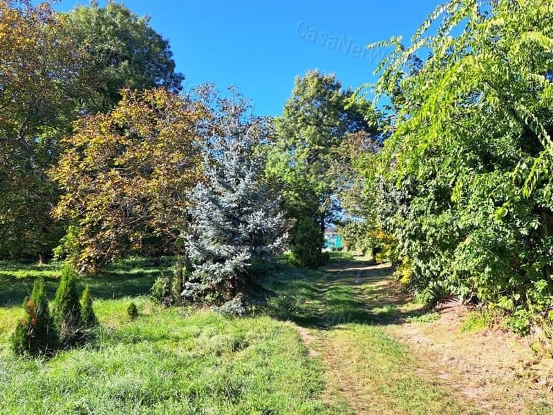 Garden plot in residential area, Balatonfüred