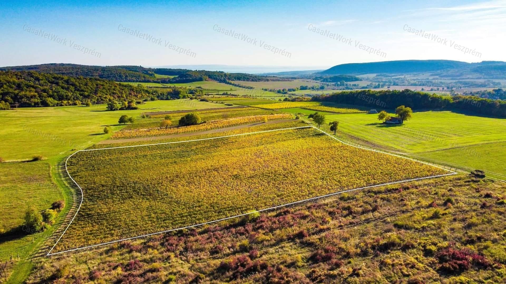 Eladó örök panorámás terület Óbudaváron! 2,3ha!