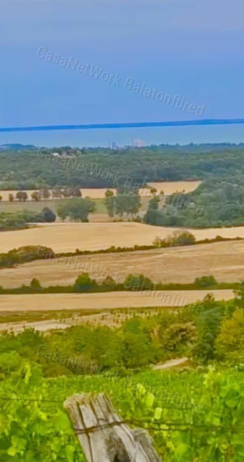 Minőségi panorámás szőlő birtok